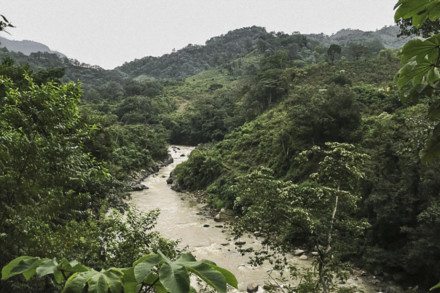 Cáceres was opposing construction of a hydroelectric project that would have put local communities at risk